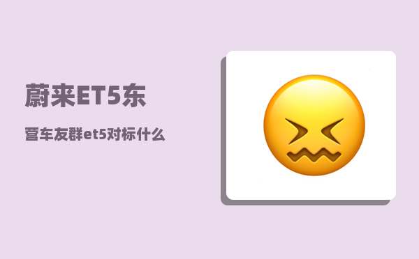 蔚来ET5东营车友群_et5对标什么车型-图1