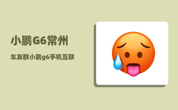 小鹏G6常州车友群_小鹏g6手机互联怎么用-图1