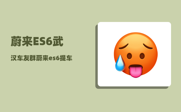蔚来ES6武汉车友群_蔚来es6提车需要买什么-图1
