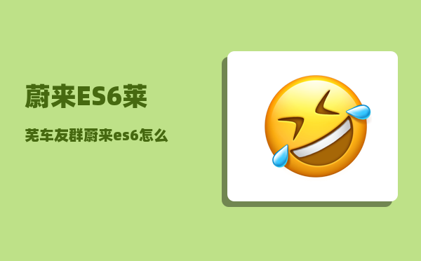 蔚来ES6莱芜车友群_蔚来es6怎么绑定app-图1