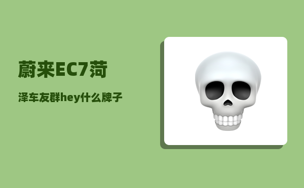 蔚来EC7菏泽车友群_hey什么牌子的车-图1