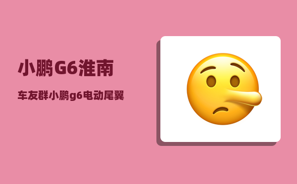 小鹏G6淮南车友群_小鹏g6电动尾翼有必要吗-图1