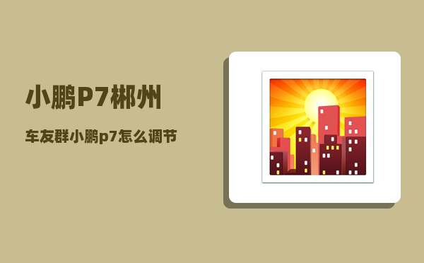小鹏P7郴州车友群_小鹏p7怎么调节电量百分比-图1