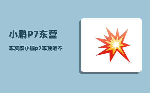 小鹏P7东营车友群_小鹏p7地平线5这么获得-图1
