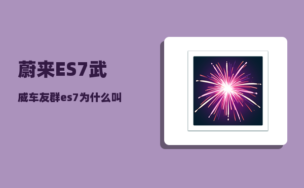 蔚来ES7武威车友群_es7为什么叫韭菜车-图1