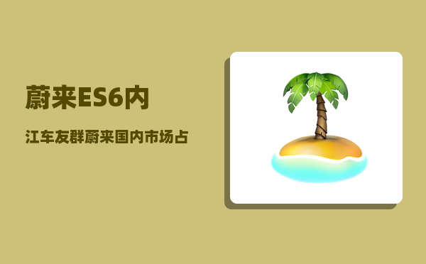 蔚来ES6内江车友群_蔚来国内市场占有率多少-图1