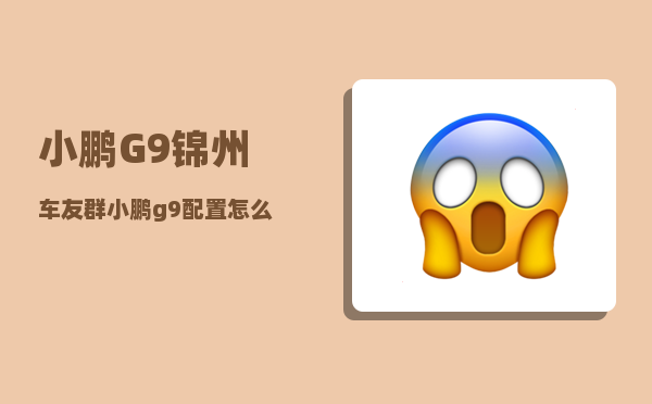 小鹏G9锦州车友群_小鹏g9配置怎么选-图1