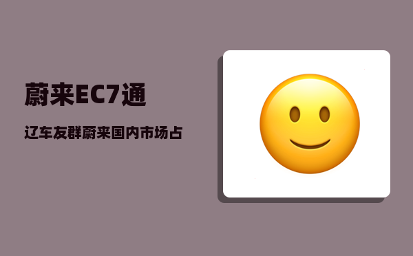 蔚来EC7通辽车友群_蔚来国内市场占有率多少-图1