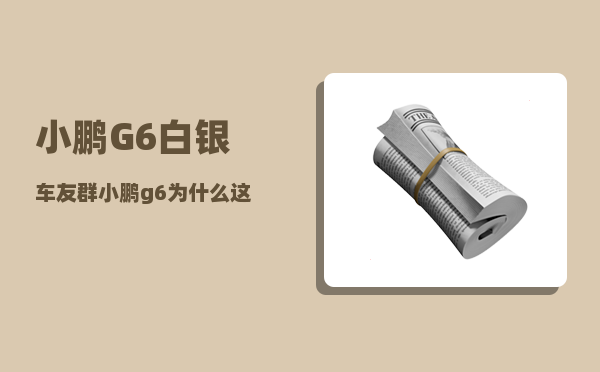 小鹏G6白银车友群_小鹏g6为什么这么便宜-图1