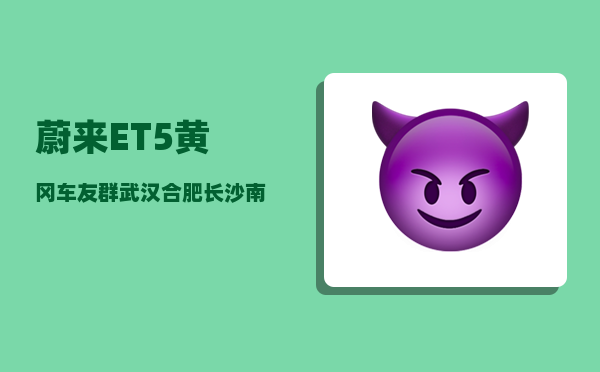 蔚来ET5黄冈车友群_武汉合肥长沙南昌郑州-图1