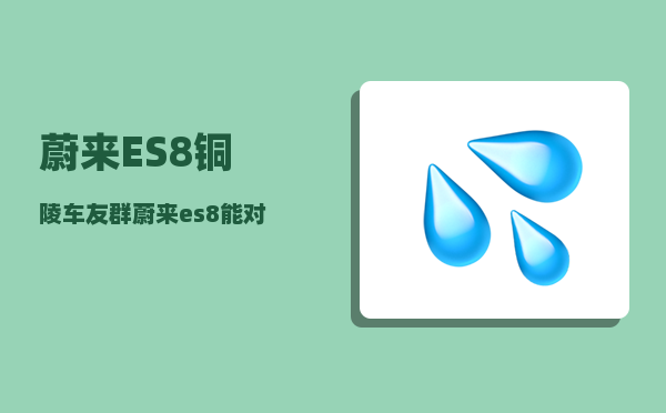 蔚来ES8铜陵车友群_蔚来es8能对外放电吗-图1