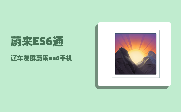 蔚来ES6通辽车友群_蔚来es6手机操控有哪些功能-图1