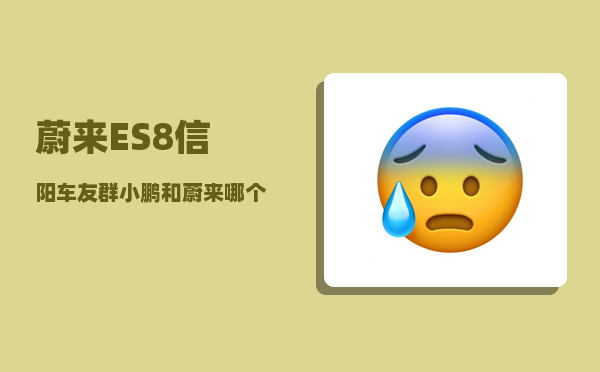 蔚来ES8信阳车友群_小鹏和蔚来哪个更靠谱-图1
