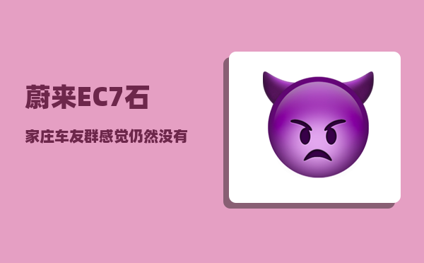 蔚来EC7石家庄车友群_感觉仍然没有发展出真正的民族品牌-图1