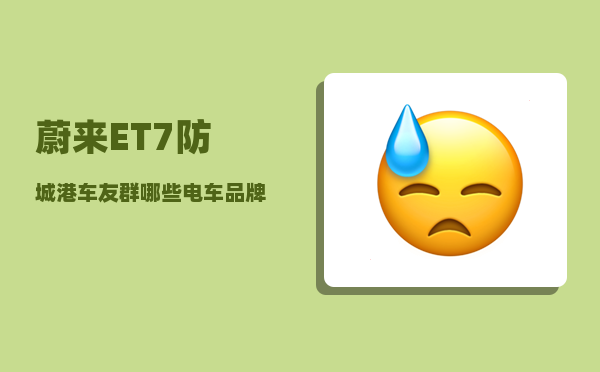 蔚来ET7防城港车友群_哪些电车品牌支持换电-图1