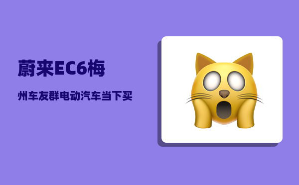蔚来EC6梅州车友群_电动汽车当下买靠谱吗-图1