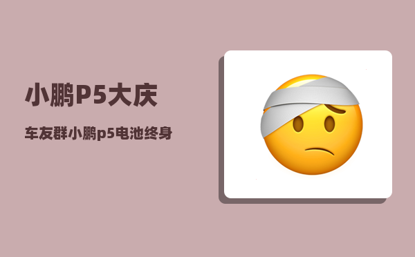 小鹏P5大庆车友群_小鹏p5电池终身质保具体条款-图1