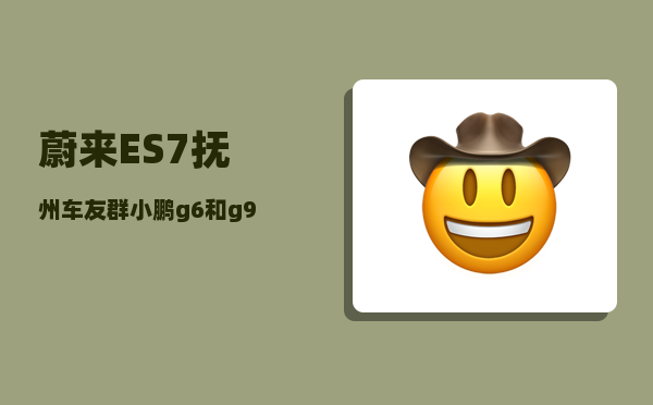 蔚来ES7抚州车友群_小鹏g6和g9哪个好-图1
