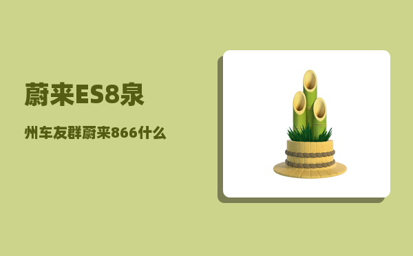 蔚来ES8泉州车友群_蔚来866什么意思-图1