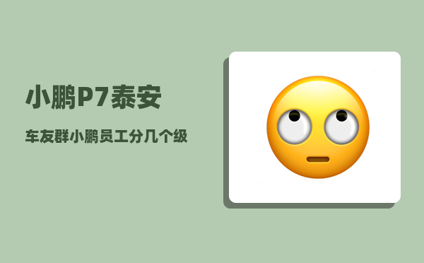 小鹏P7泰安车友群_小鹏员工分几个级别-图1