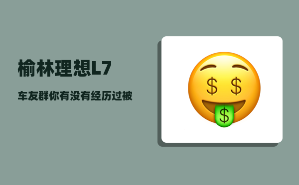 榆林理想L7车友群_你有没有经历过被偷窃-图1