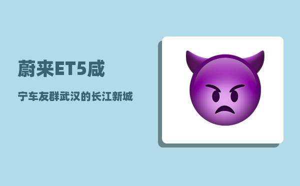 蔚来ET5咸宁车友群_武汉的长江新城和光谷-图1