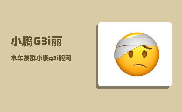 小鹏G3i丽水车友群_小鹏g3i跑网约车选哪个配置好-图1