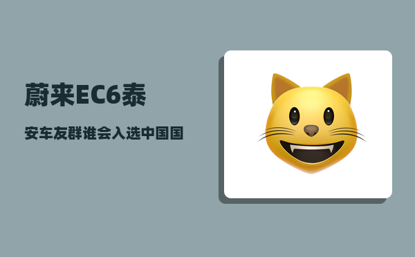 蔚来EC6泰安车友群_谁会入选中国国家队-图1