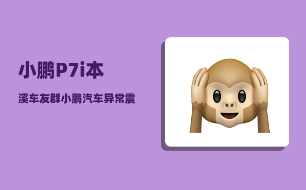 小鹏P7i本溪车友群_小鹏汽车异常震动-图1