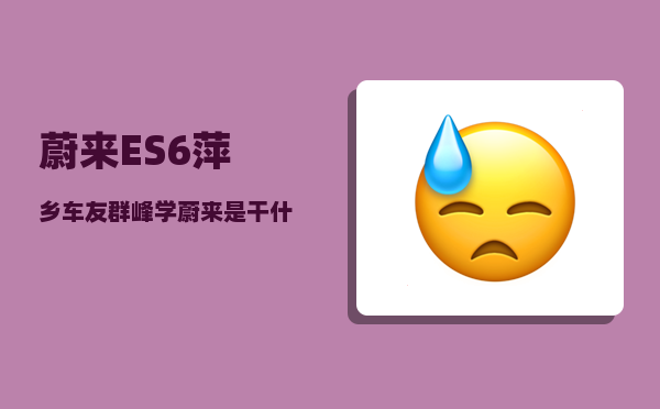 蔚来ES6萍乡车友群_峰学蔚来是干什么的-图1