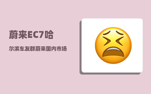 蔚来EC7哈尔滨车友群_蔚来国内市场占有率多少-图1