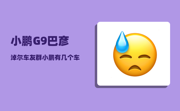 小鹏G9巴彦淖尔车友群_小鹏有几个车型-图1