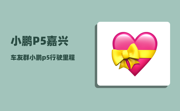 小鹏P5嘉兴车友群_小鹏p5行驶里程哪里看-图1