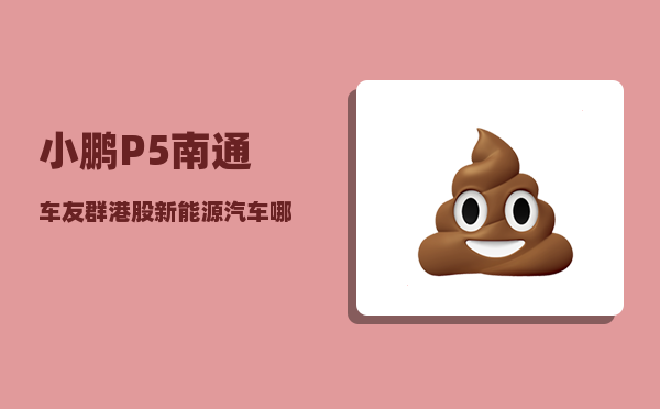 小鹏P5南通车友群_港股新能源汽车哪家智能技术较优-图1