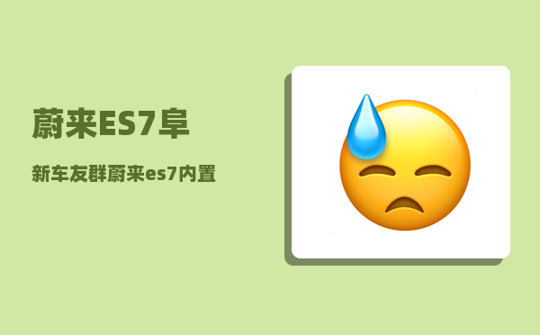 蔚来ES7阜新车友群_蔚来es7内置etc吗-图1