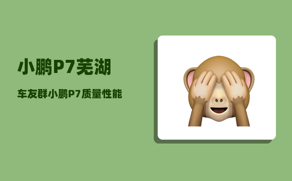 小鹏P7芜湖车友群_小鹏P7质量性能如何-图1