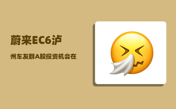 蔚来EC6泸州车友群_A股投资机会在哪里-图1