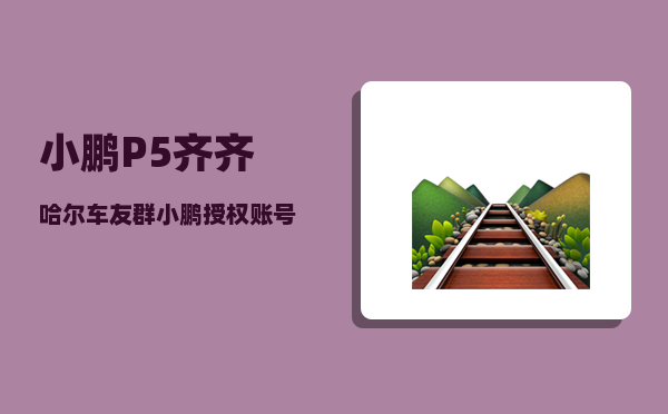 小鹏P5齐齐哈尔车友群_小鹏授权账号可以看车辆位置吗-图1