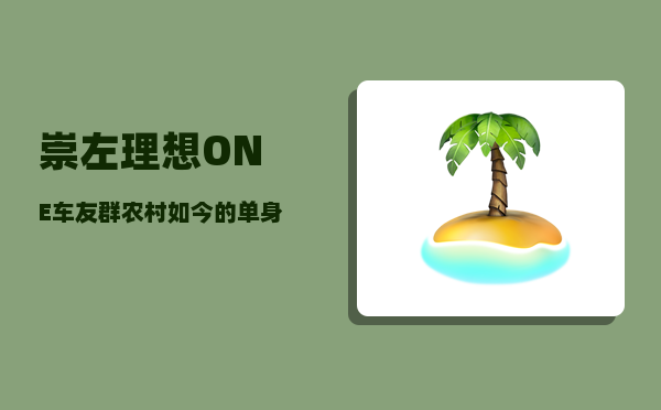 崇左理想ONE车友群_农村如今的单身男子该如何自救-图1