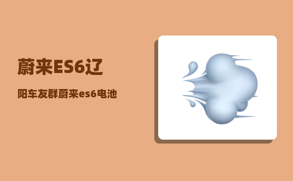 蔚来ES6辽阳车友群_蔚来es6电池租赁方案什么意思-图1