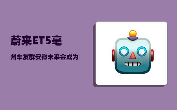 蔚来ET5亳州车友群_安徽未来会成为经济强省吗-图1