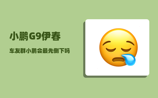 小鹏G9伊春车友群_小鹏会最先倒下吗-图1