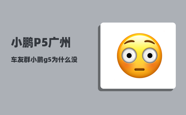 小鹏P5广州车友群_小鹏g5为什么没有热销-图1