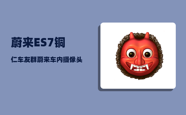 蔚来ES7铜仁车友群_蔚来车内摄像头app可以看吗-图1