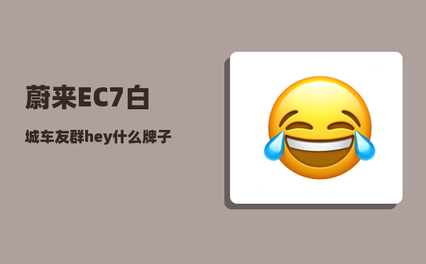 蔚来EC7白城车友群_hey什么牌子的车-图1