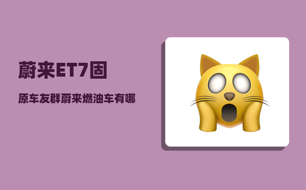 蔚来ET7固原车友群_蔚来燃油车有哪些-图1