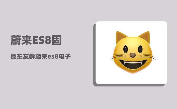 蔚来ES8固原车友群_蔚来es8电子驻车故障怎么消除-图1
