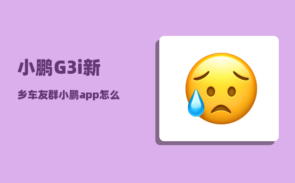 小鹏G3i新乡车友群_小鹏app怎么换车主-图1
