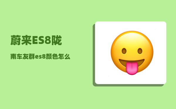 蔚来ES8陇南车友群_es8颜色怎么选-图1