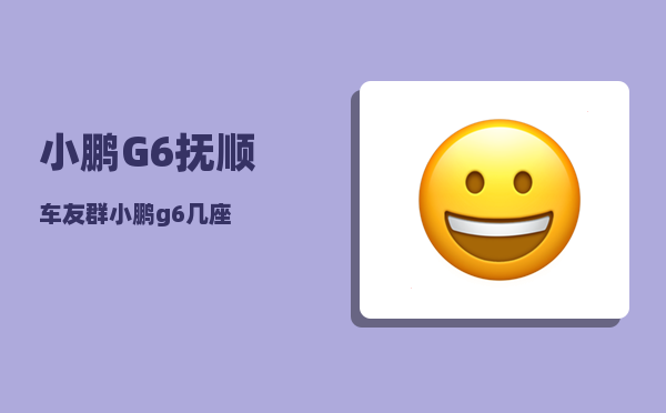 小鹏G6抚顺车友群_小鹏g6几座-图1